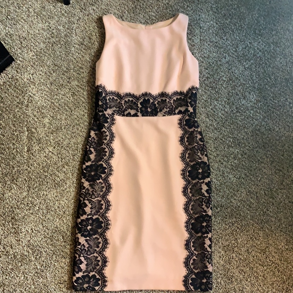 The Limited Pink Sheath Dress with Black Lace Insets